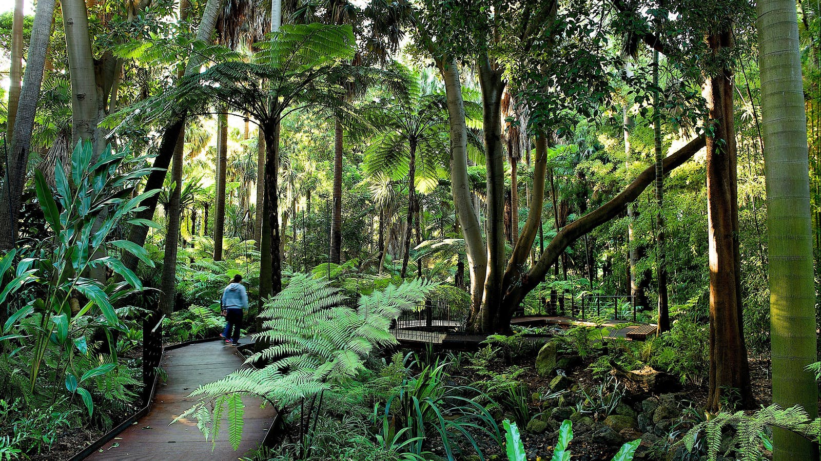ビクトリア州王立植物園 メルボルン Victoria オーストラリア